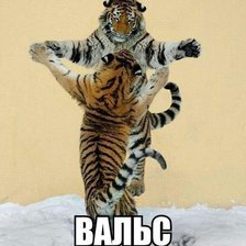 Схема вышивки «вальс тигров»