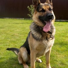 Схема вышивки «Оскар»