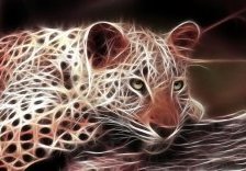 Схема вышивки «Леопард.»