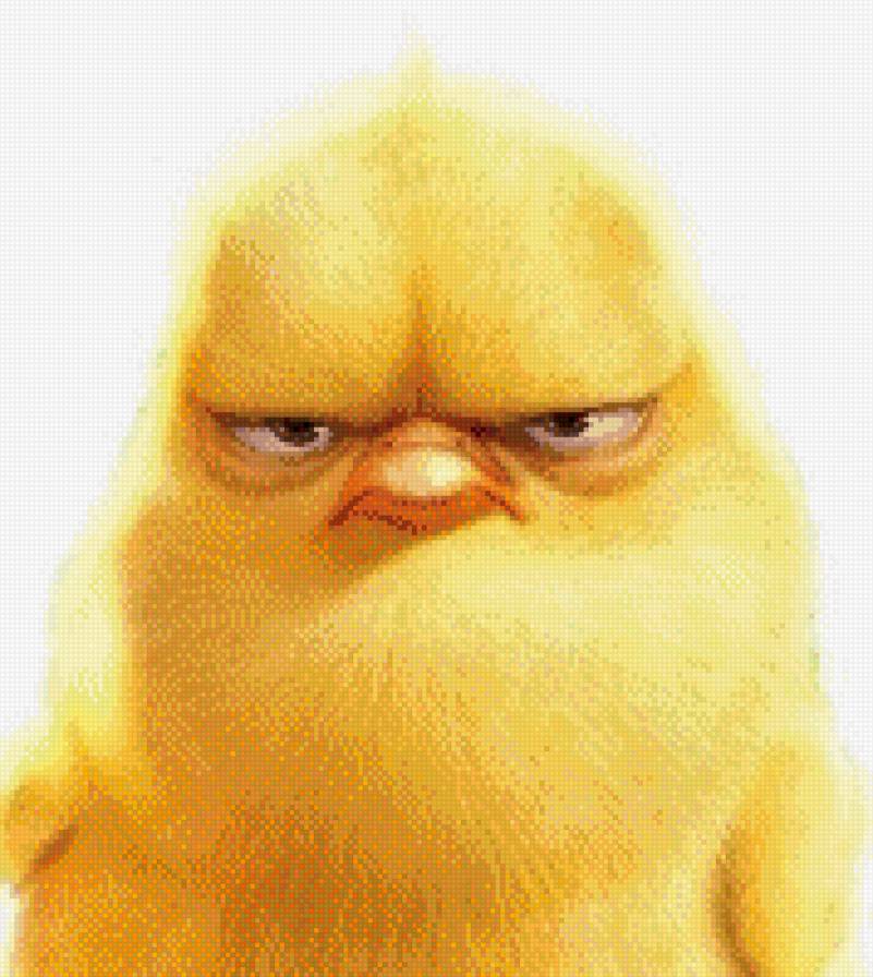 Цыпа - цыпленок, животные - предпросмотр