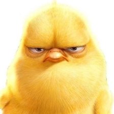 Схема вышивки «Цыпа»