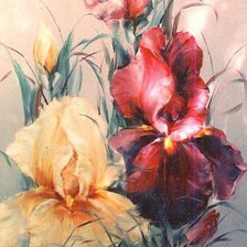 Схема вышивки «Ирисы»