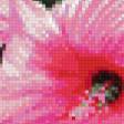 Предпросмотр схемы вышивки «гибискус» (№792756)