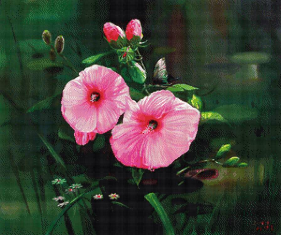 гибискус - цветы.гибискус - предпросмотр