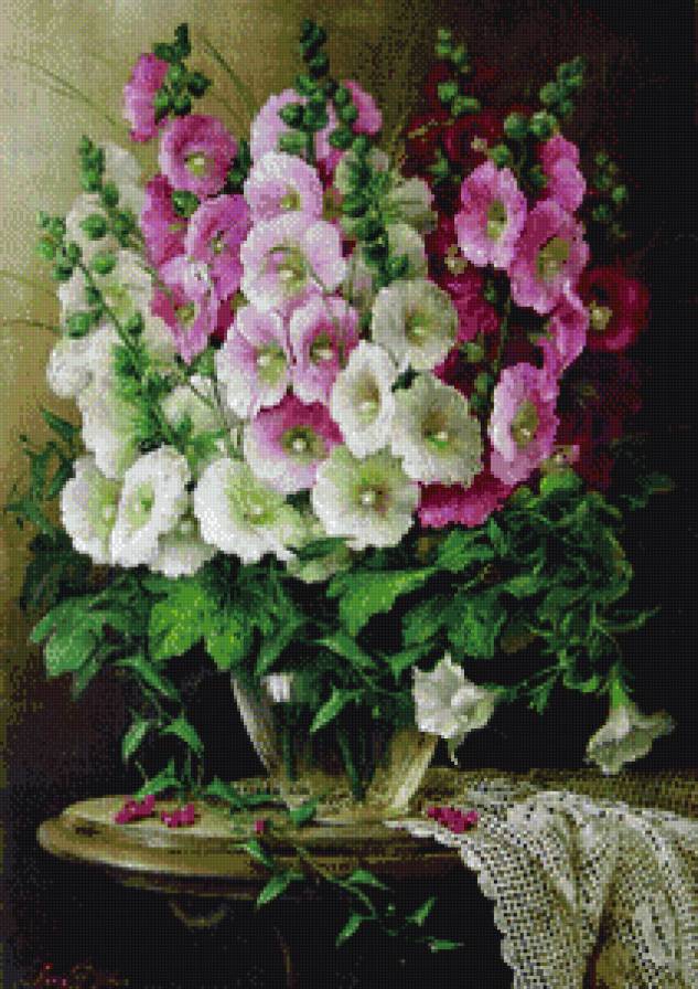 мальва - цветы.мальва - предпросмотр