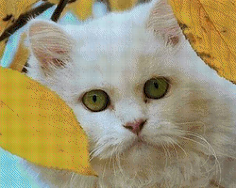 кошка в желтых листьях - предпросмотр