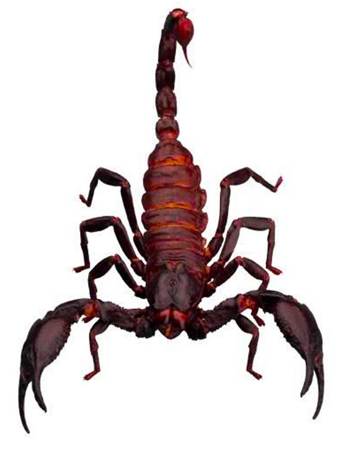 010 - оригинал