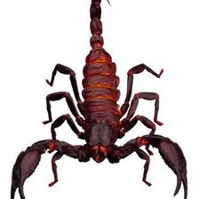 Схема вышивки «010»