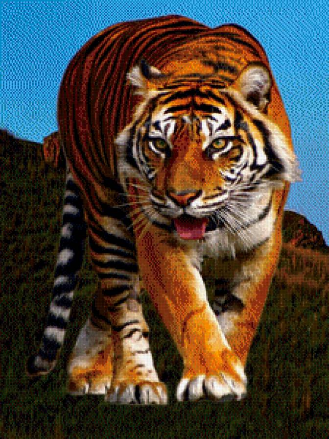 011 - предпросмотр