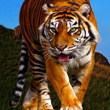 Схема вышивки «011»