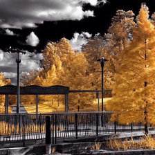 Схема вышивки «осень-чудо»