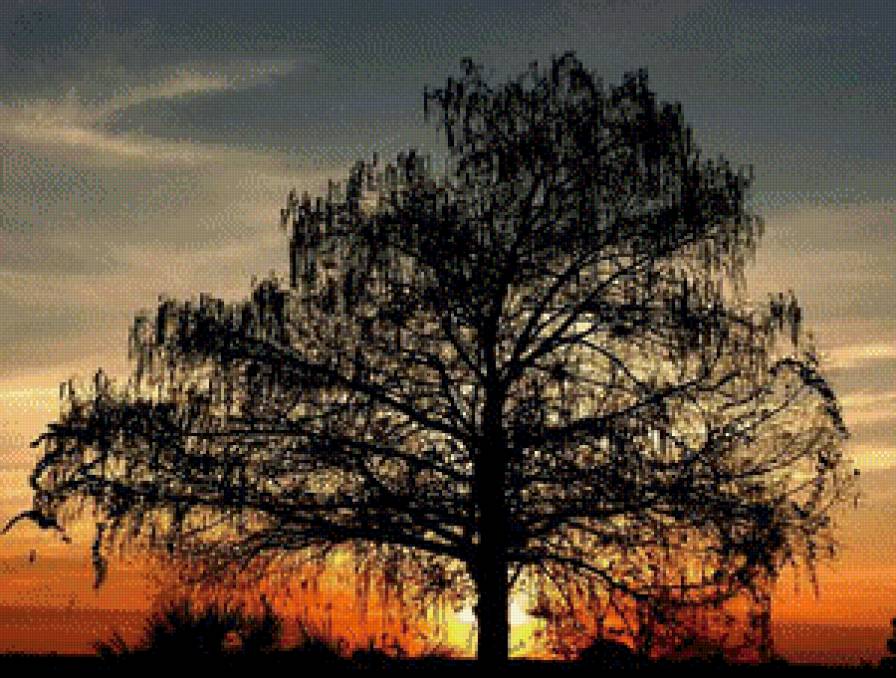 одиночество - природа - предпросмотр