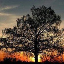 Схема вышивки «одиночество»