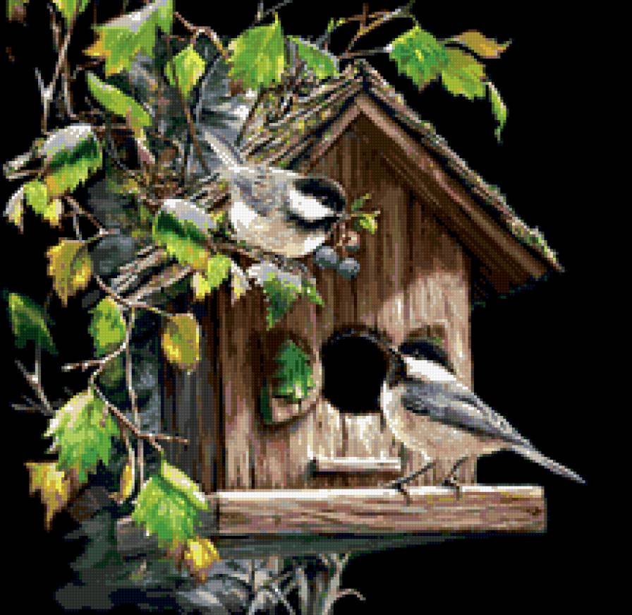 Пернатые - птицы, скворечник, весна - предпросмотр