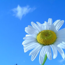 Схема вышивки «№793278»