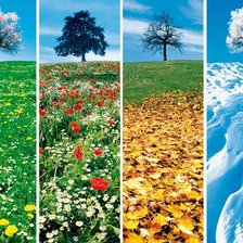 Схема вышивки «№793329»