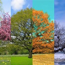 Схема вышивки «№793331»