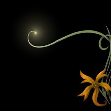 Схема вышивки «цветок на черном»