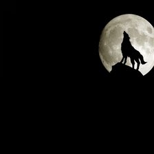 Схема вышивки «одинокий волк»