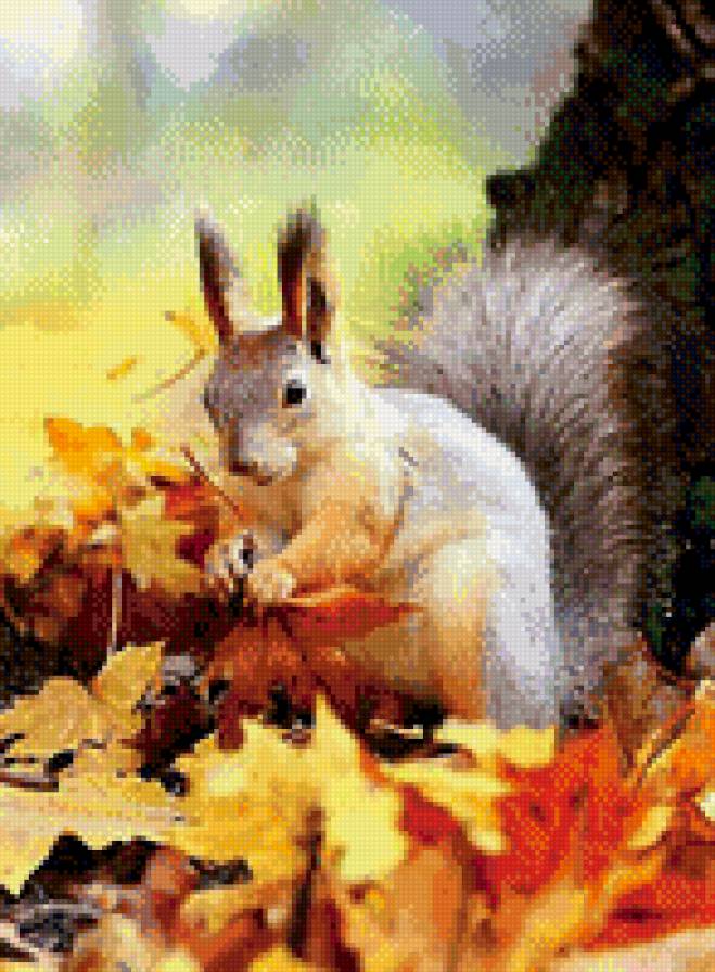 №793578 - животные, пейзаж, белка, осень, звери, природа - предпросмотр