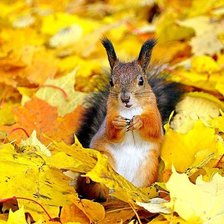 Схема вышивки «№793584»