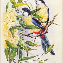 Схема вышивки «№793667»