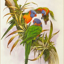 Схема вышивки «№793668»