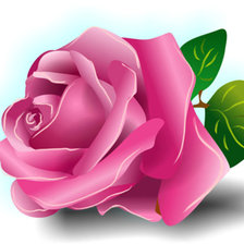 Схема вышивки «одинокая роза»