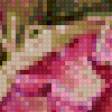 Предпросмотр схемы вышивки «розочки» (№793951)