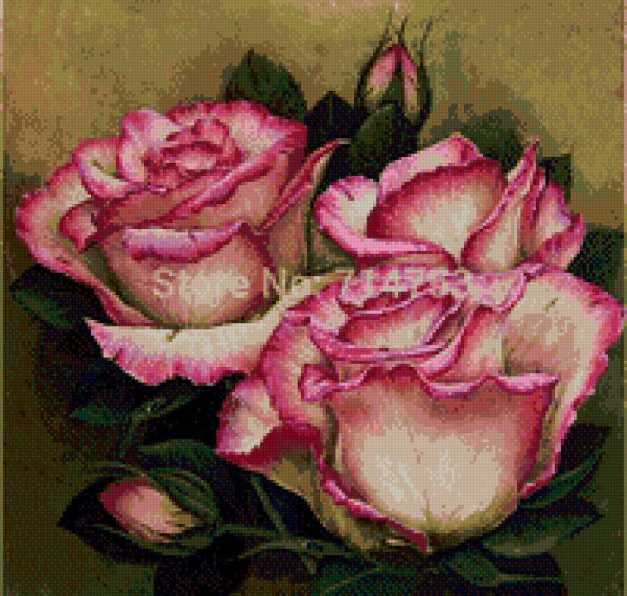 розочки - предпросмотр