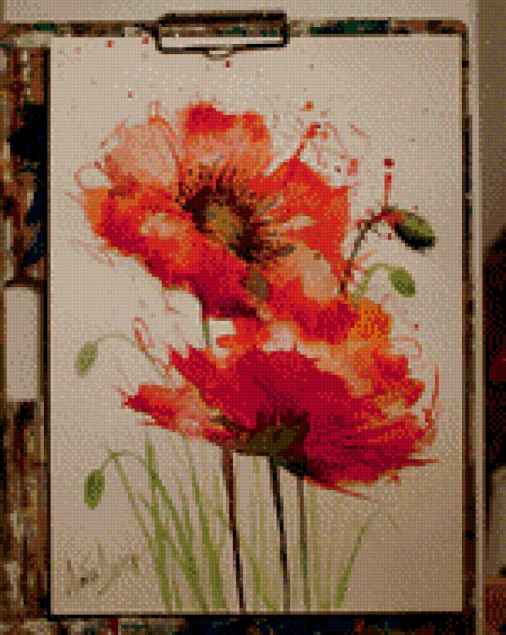 Маки. - цветы, маки, акварель - предпросмотр