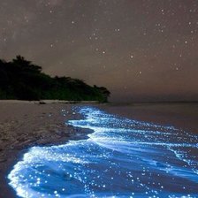 Схема вышивки «Прилив»