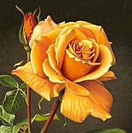 Схема вышивки «мини роза»