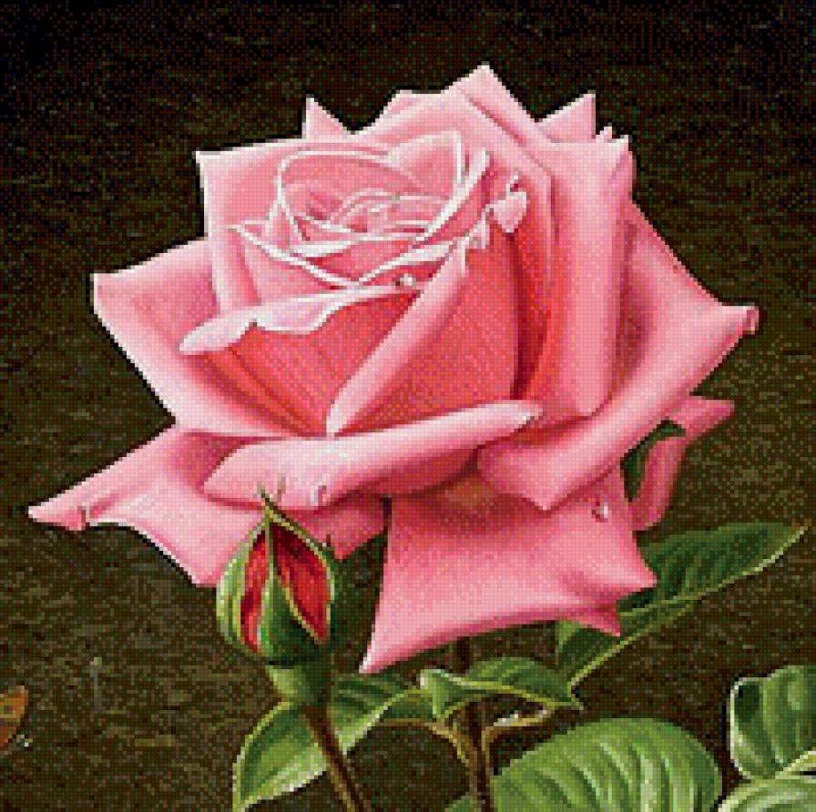 №794361 - предпросмотр