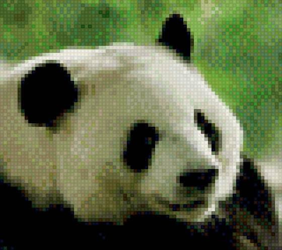 Панда - панда - предпросмотр