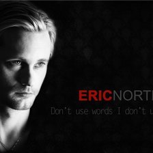 Схема вышивки «Эрик Нортман»