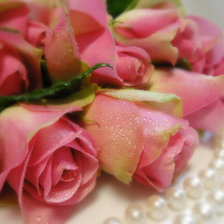 Схема вышивки «Розы на столе»