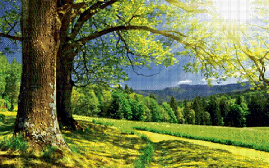 летний день - пейзаж, солнце, времена года, луг, природа, лес, лето, дерево - предпросмотр