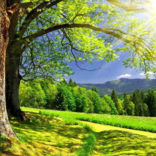 Схема вышивки «летний день»