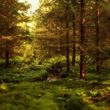 Схема вышивки «лесной пейзаж»