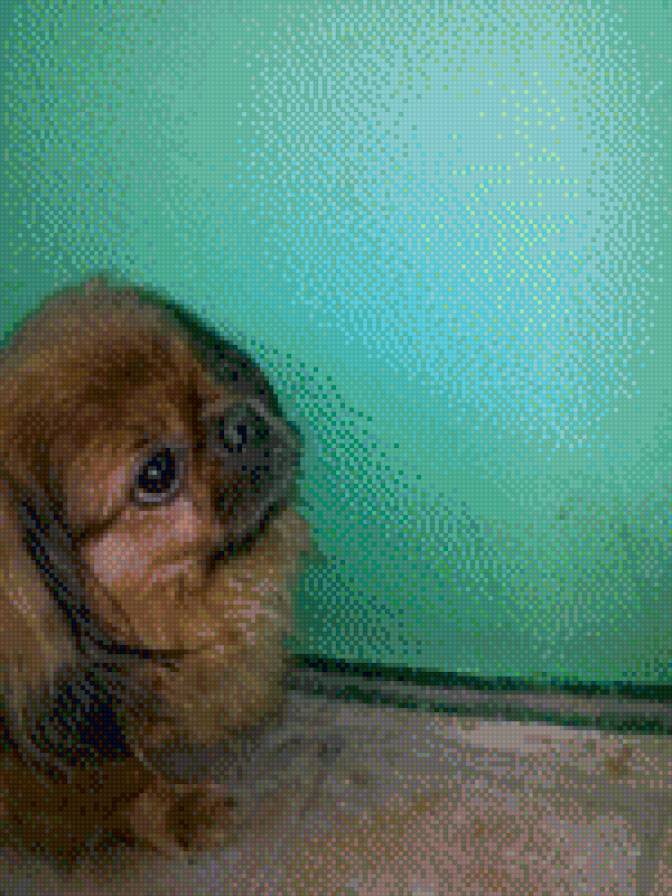 №794790 - предпросмотр