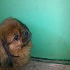 Схема вышивки «№794790»