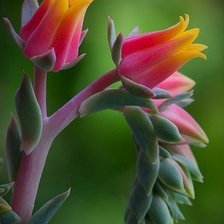 Схема вышивки «№794823»