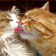 Схема вышивки «Любоффф»