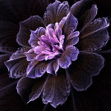 Схема вышивки «цветок»