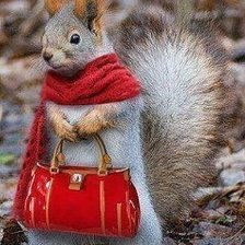 Схема вышивки «белочка с сумочкой»