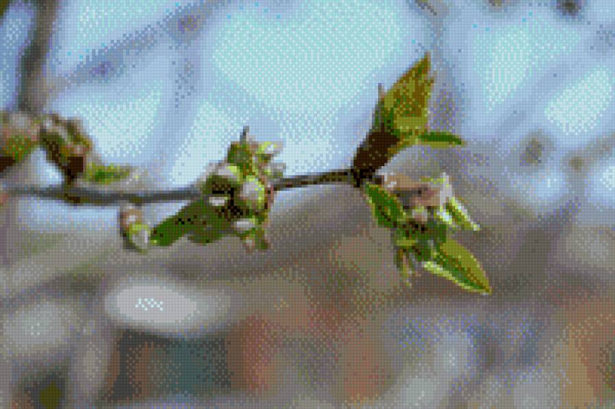 123 - предпросмотр