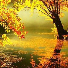 Схема вышивки «№795384»