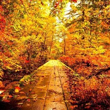 Схема вышивки «золотая осень»