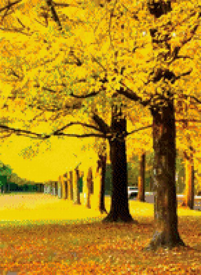 №795402 - пейзаж, осень, природа - предпросмотр